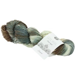 Cool Wool Hand-dyed 114