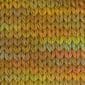 Cool Merino Big Color 402