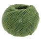 Cool Merino 004 Groen